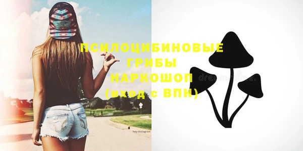 дмт Лабытнанги