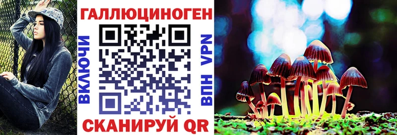 Купить  Армянск  Псилоцибиновые грибы Psilocybine cubensis 